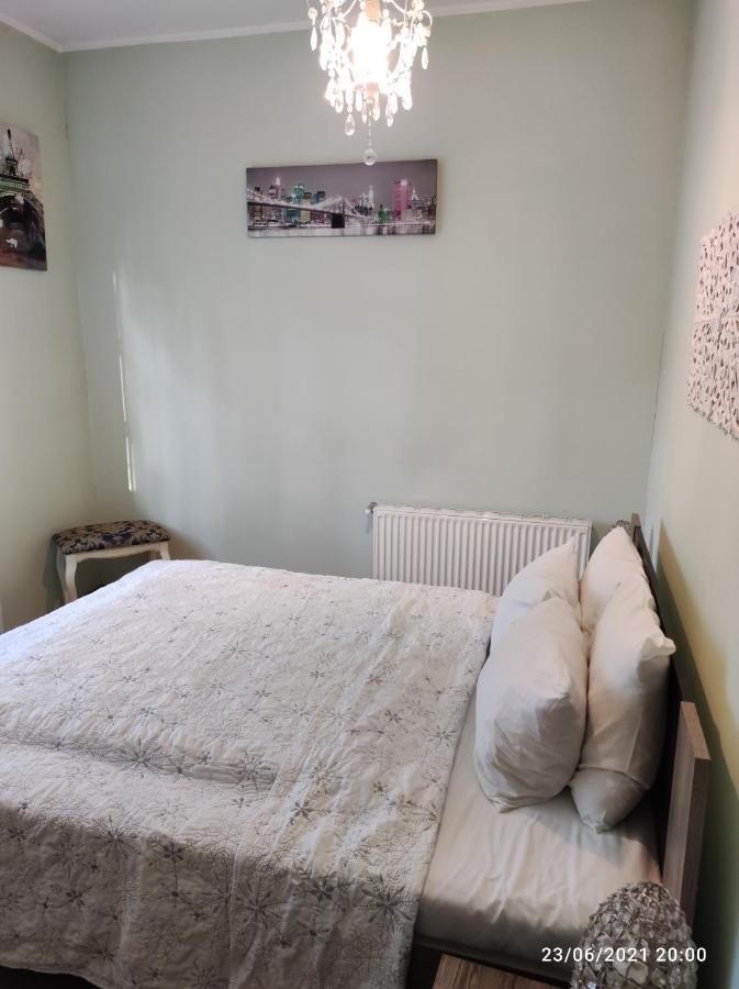 Boutigue City House With Terrace And Garden Free Parking リガ エクステリア 写真