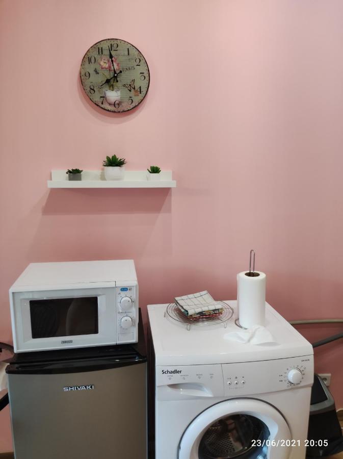 Boutigue City House With Terrace And Garden Free Parking リガ エクステリア 写真