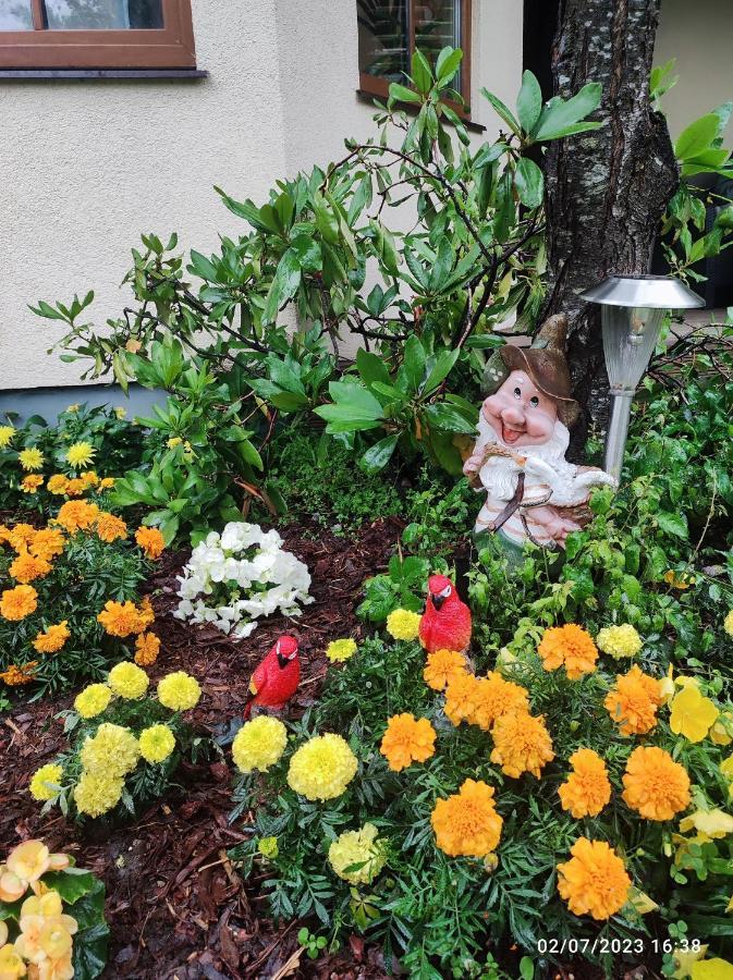Boutigue City House With Terrace And Garden Free Parking リガ エクステリア 写真